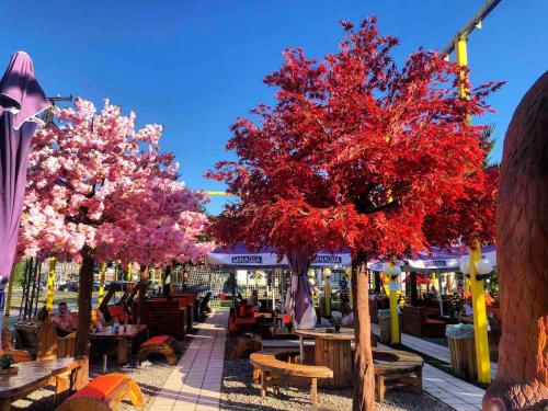 Korzo-Park-vas-omiljeni-park-26-7-2020